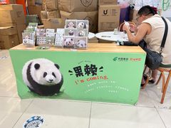-熊猫邮局(少城店)