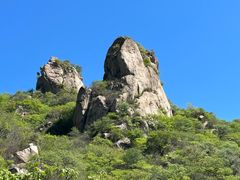 -大岭沟猕猴桃谷风景区