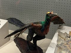 -辽宁古生物博物馆