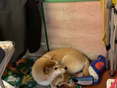 -About Bistro關於·泰式家庭料理