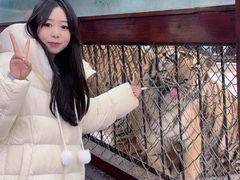 -横道河子东北虎林园