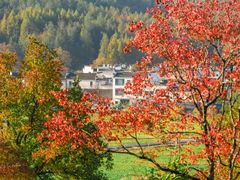 -塔川景区