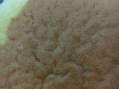 -面包新语(上地华联店)