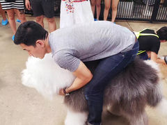 -TrueLove @ Neverland (Husky Cafe)