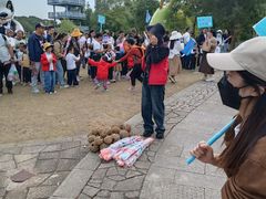-苏州太湖国家湿地公园
