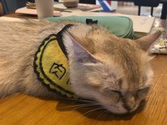 -凯德广场(武胜路店)