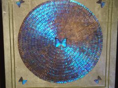 -上海昆虫博物馆