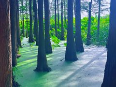 -云龙湖旅游景区