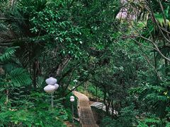 -深圳龙潭公园