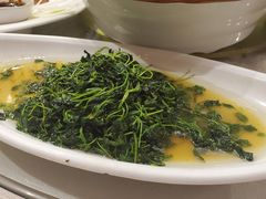 -天福苑(崇宁路店)