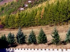 -塞罕坝国家级自然保护区