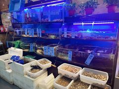 -沈家门小海鲜