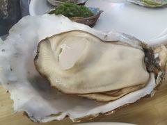 高压锅竹笼生蚝（20个大蚝）-一蚝一贝海鲜特色餐厅(万象城店)