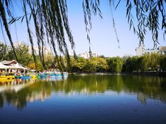 -莲湖公园