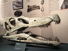 -自贡恐龙博物馆
