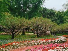 -香山公园