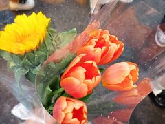 -循礼门鲜花花市(武汉循礼门店)