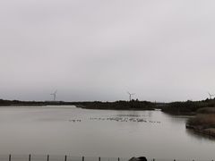 -东滩湿地公园观海楼餐厅