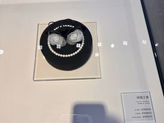 -BLACKSWAN黑天鹅(环球店)