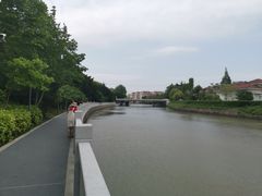 -嘉定紫藤园