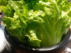 -快乐小羊·内蒙牛羊肉火锅(流花中心店)