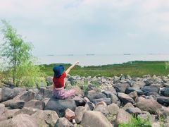 -吴淞炮台湾湿地森林公园烧烤区