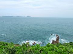 -杨梅坑