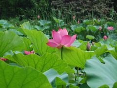 外景-上海怡沁园度假酒店