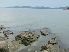 -上海市保健医疗中心