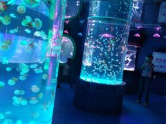 -左海海底世界