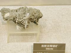 -甘肃地质博物馆