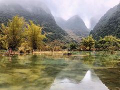 -靖西鹅泉风景区