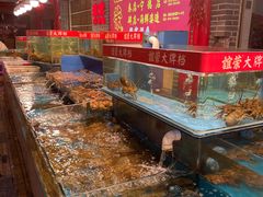 水产区-谊荣海鲜大牌档(石湖店)