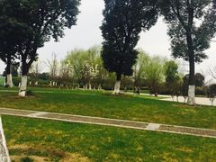 -九里河湿地公园