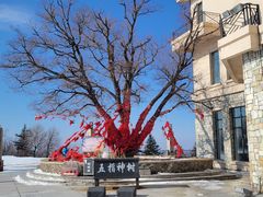 -亚布力新体委滑雪场