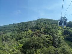 -普陀山风景区-佛顶山