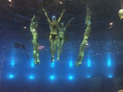 -瑞德姆美人鱼海底演艺主题餐厅(亚龙湾店)