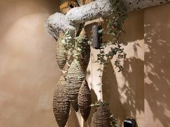 -耳艺采耳·足疗·按摩SPA(东圃店)