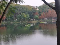 -重庆彩云湖湿地公园