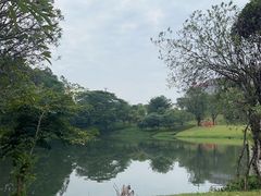 -松山湖风景区松湖烟雨