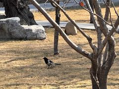 -碑林公园