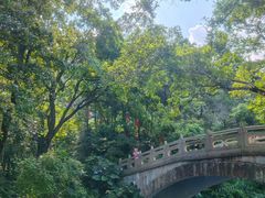 -广州市石门国家森林公园