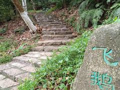 -番禺大夫山森林公园