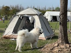 -上海海湾国家森林公园