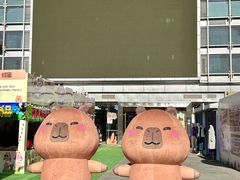 -深圳龙华星河COCO City(民治店)