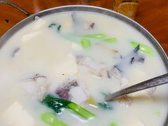 -全乐鱼馆·淳牌有机鱼直营店