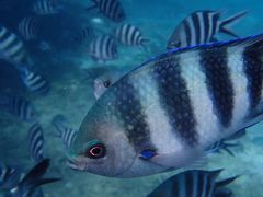 -中青旅遨游旅行旗舰店