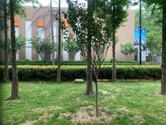 -山东省青岛第二中学(江西路分校)