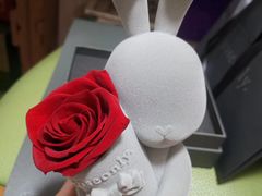 -ROSEONLY诺誓(广州K11店)