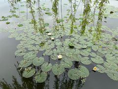 -锦溪古镇